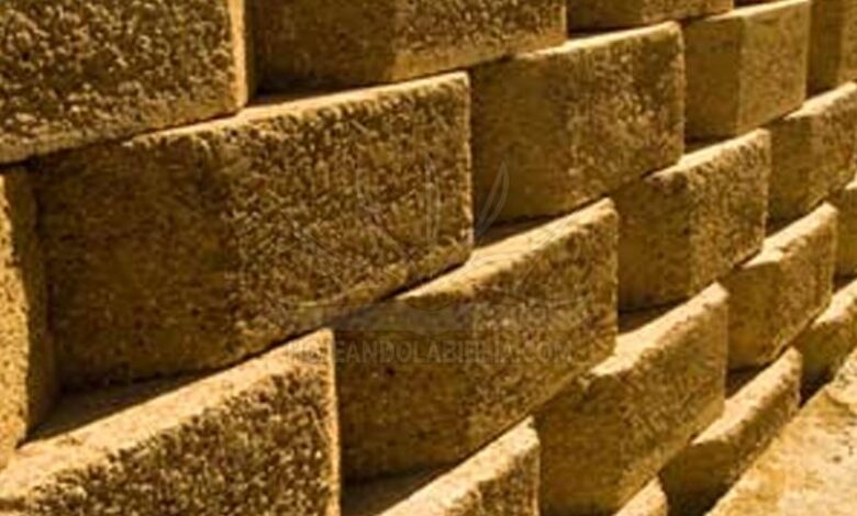 Integridad en los procesos