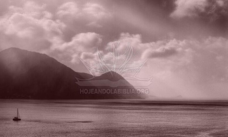 Descubrir el Propósito Central de Mi Vida