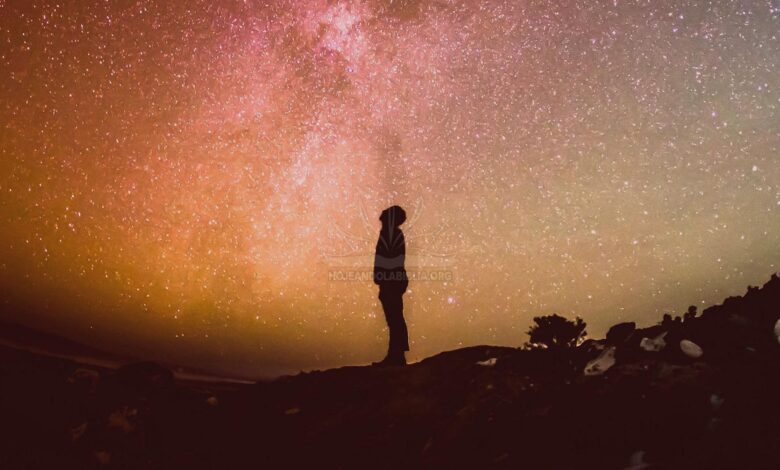 Nunca te rindas | Parte II