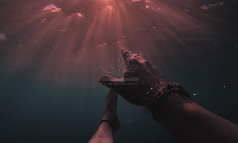 Creado para vivir sin miedo