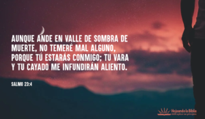 Salmo-23-4